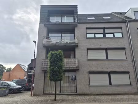 appartement te huur in rijkevorsel met 2 slaapkamers
