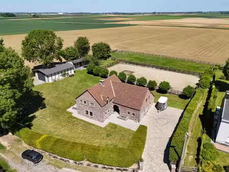 propriété équestre rare 4 chambres à vendre - donceel