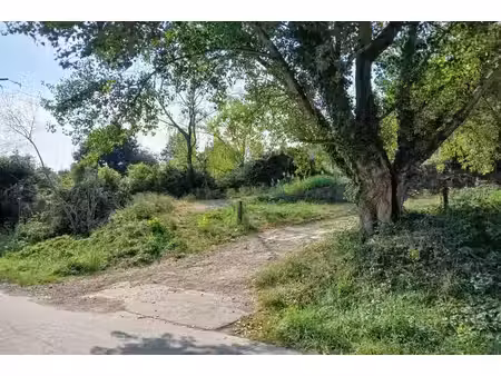 vente terrain reynès 66400 - - surface privée
