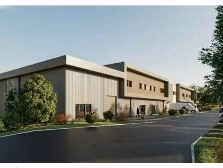 vente local d’activités saint laurent de mure 69720 236m² à 2871m²