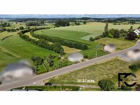 à vendre - terrain de 10 57 ares à sélange  rue de clémency