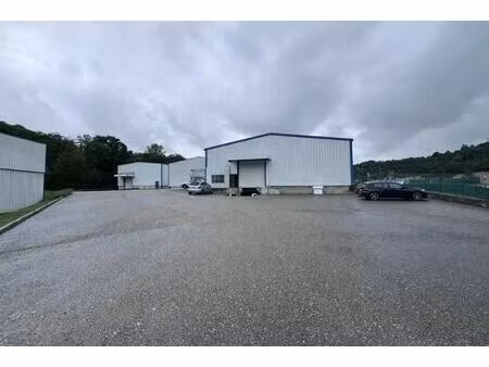 vente entrepôt vienne 38200 4498m² à 9832m²