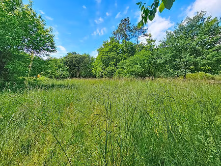 achat terrain 1 863m²