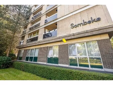 appartement te koop in antwerpen met 3 slaapkamers