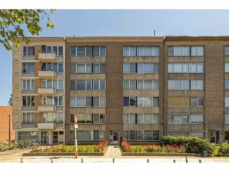 appartement te koop in borgerhout met 3 slaapkamers