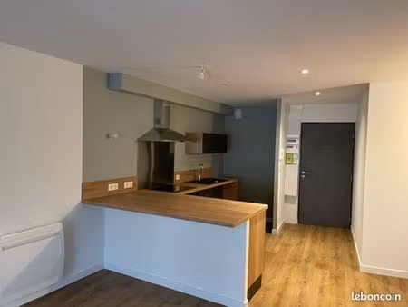 grand t2 duplex plein centre savenay