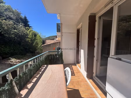 location appartement 1 pièce 18m² amelie les bains palalda 66110