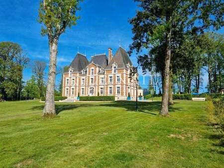 vente demeure d'exception piscine à aubigny-sur-nère (18700) : à vendre piscine / 900m² au