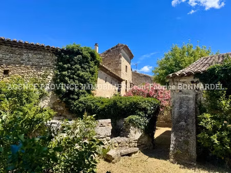 vente maison de village 5 pièces 300m2 visan 84820 - 199000 € - surface privée
