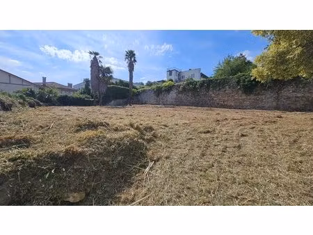 terrain
