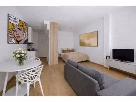 grand et lumineux studio meublé avec cour de 20m2