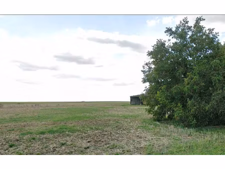 terrain boissy-la-rivière m² t- à vendre  50 000 €