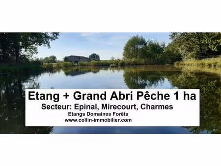 en vente terrain constructible 100 ares – 80 000 € |épinal