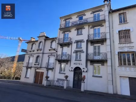 deux immeubles à vendre : 900 m² + jardin + dépendance