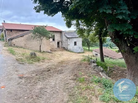 violay (loire) ferme a renover
