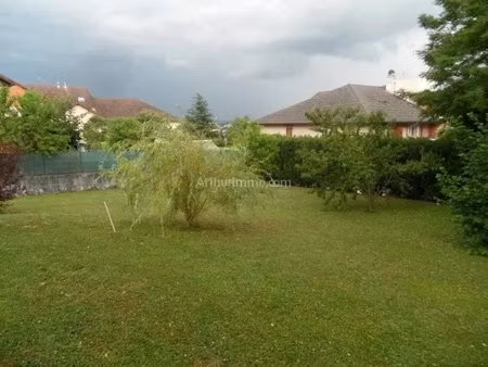 maison avec jardin