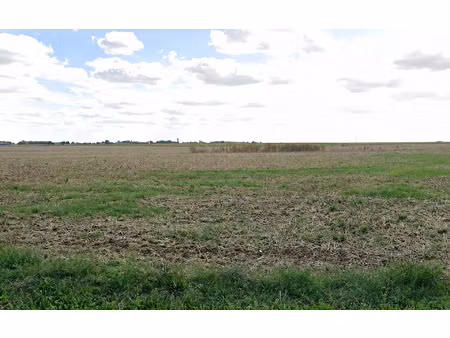 terrain boissy-la-rivière m² t- à vendre  55 000 €