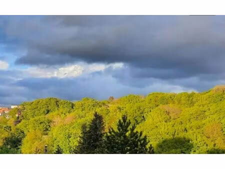 en vente terrain constructible 10 6 ares – 190 000 € |villerupt