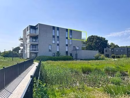 appartement à vendre à nijlen € 335.000 (loxm6) - herenthout | zimmo