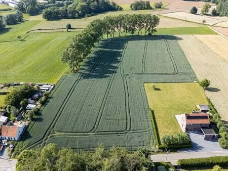 terrain à vendre à ellezelles € 460.000 (lox6p) - dmg vastgoed | zimmo