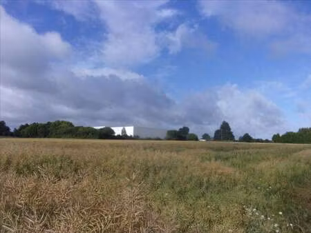 vente terrain à carentoir (56910) : à vendre / carentoir