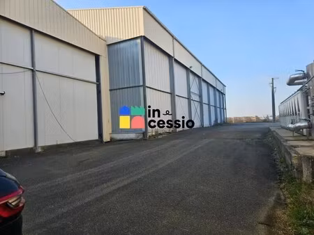 vente entrepôt le lude 72800 11000m²