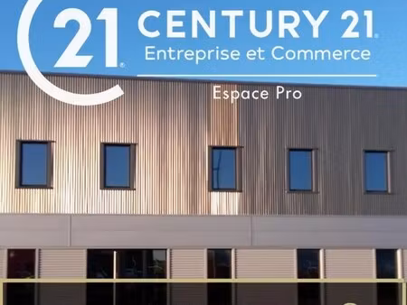 vente local d’activités ifs 14123 339m²