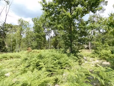 vente terrain marsac sur l isle 24430 1216m²