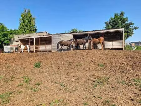 superbe prairie composée de 4 boxs pour vos équidés