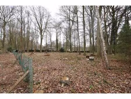 terrain à bâtir dans le strihoux avec projet et permis