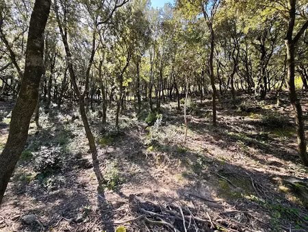 vente terrain 4159 m² à sorède (66690)  270 000 €