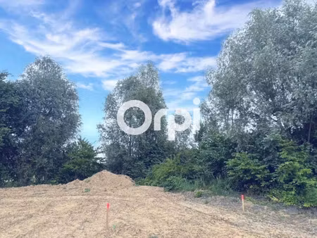vente terrain à batir 503 m² à templeuve (59242)  155 000 €