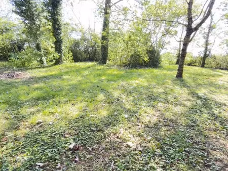 vente terrain à batir 608 m² à auzeville-tolosane (31320)  177 000 €