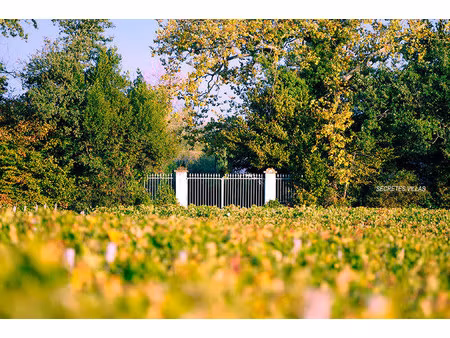 vente maison 11 pièces