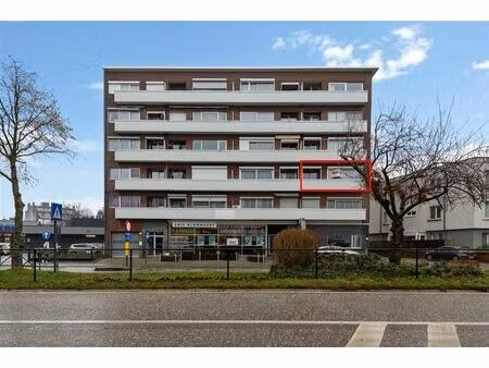 appartement à louer à mechelsesteenweg 47 mortsel (rbw12511)