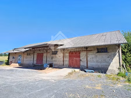 vente locaux professionnels 3 pièces 500 m² à le donjon (03130)  59 950 €