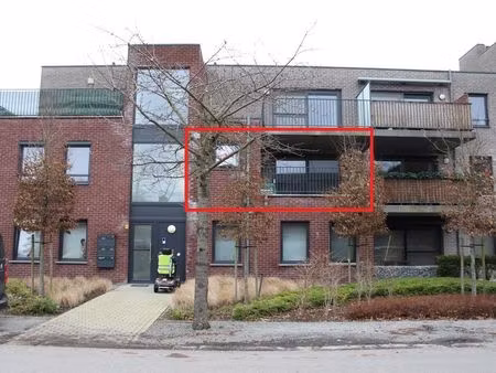 appartement à louer à lommel € 945 (loyk9) - pellettieri real estate | zimmo