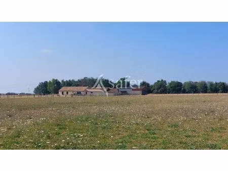 propriété isolée sur 8 hectares - secteur coutras
