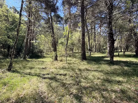 vente terrain 802 m² à plan-d'aups-sainte-baume (83640)  130 000 €