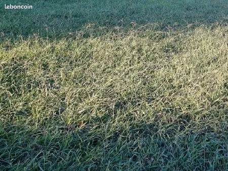 terrain 250 m² villemolaque