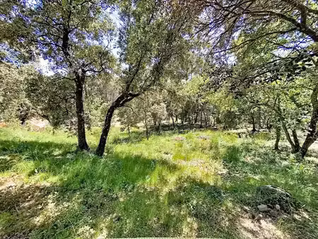 vente terrain à batir 2000 m² à puget (84360)  294 000 €