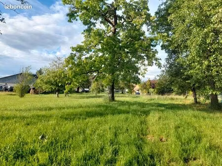 terrain constructible à muespach-le-haut