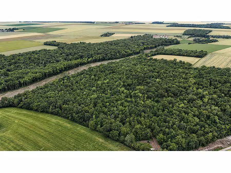 vente terrain 640000 m² à autruy-sur-juine (45480)  506 552 €