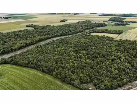 vente terrain 646112 m² à autruy-sur-juine (45480)  506 552 €