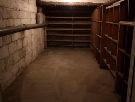 grande cave/local de 30m2 centre ville annecy