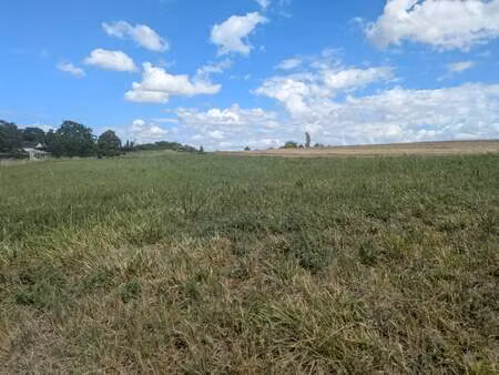 vente terrain 1000 m² neuil (37190)