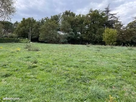 terrain 1 009 m² labruguiere