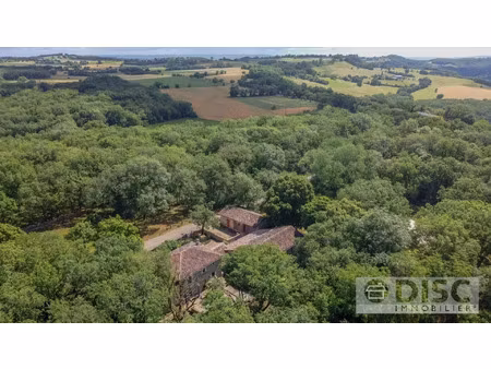 vente maison 11 pièces 314 m² saint-antonin-noble-val (82140)