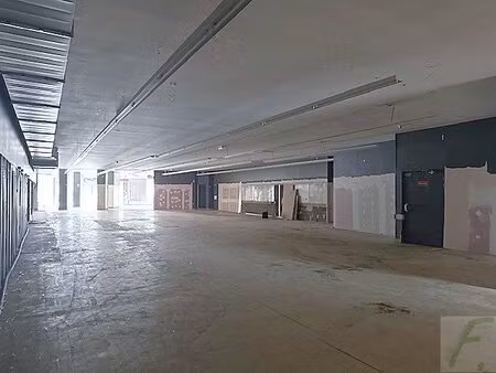 vente commerce chambery 73000 710m²