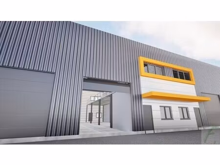 location local d’activités domene 38420 133m²